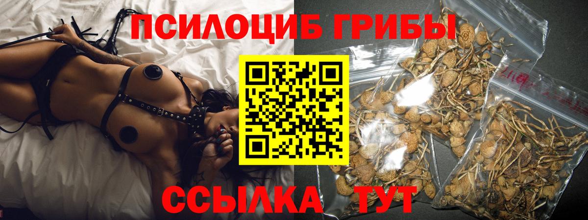 Псилоцибиновые грибы Cubensis  Вход с VPN  Кыштым  Галлюциногенные грибы мухоморы 